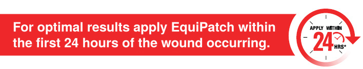 EquiPatch 24 hour banner